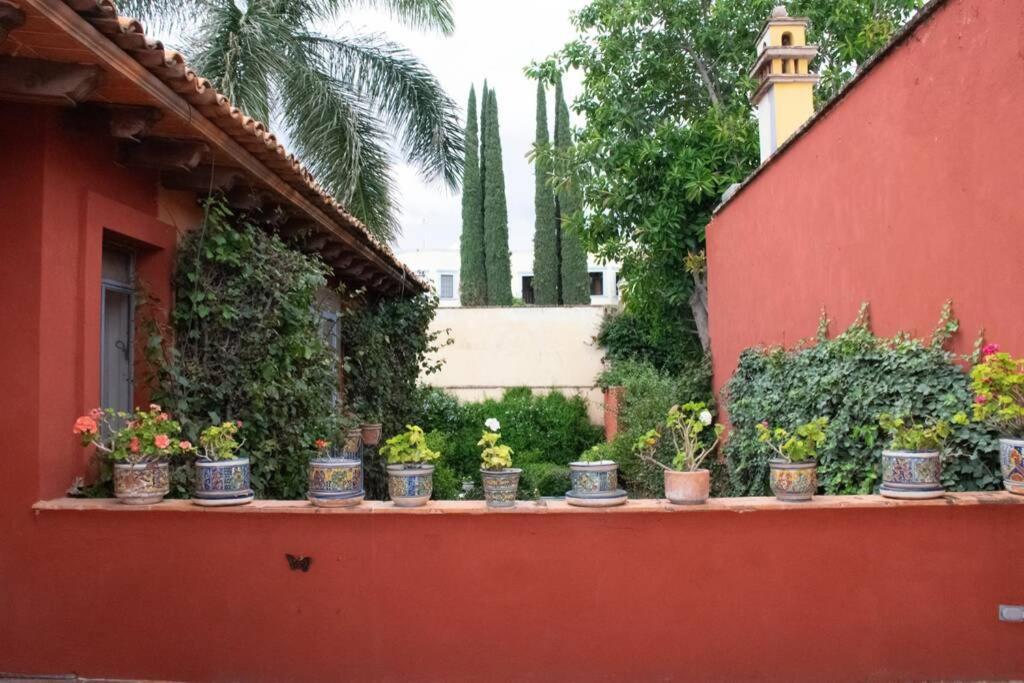 Villa Mexicana San Miguel de Allende Exterior photo